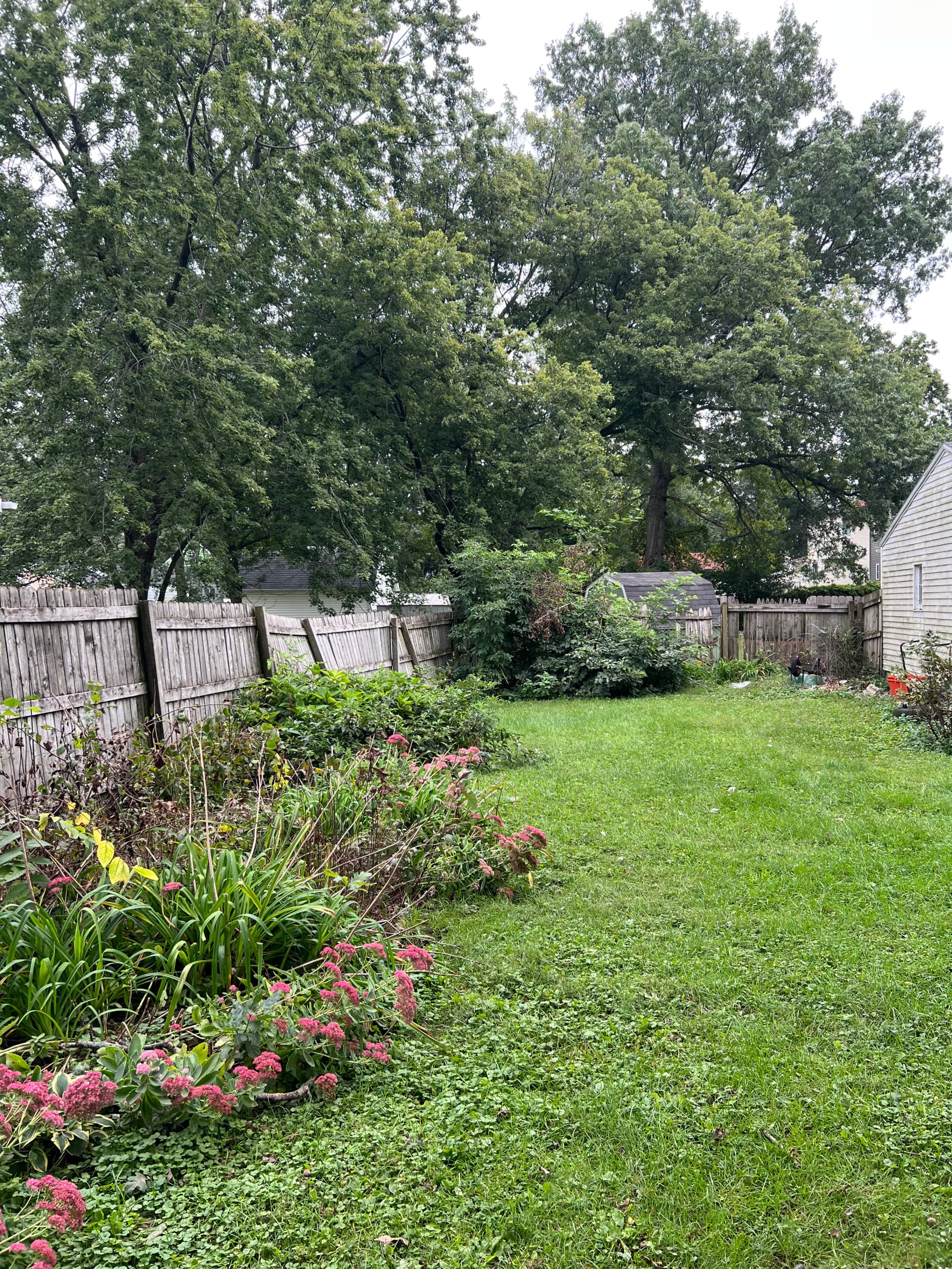 Old Fence Out, New Wood Privacy Fence In - Lima Ohio image