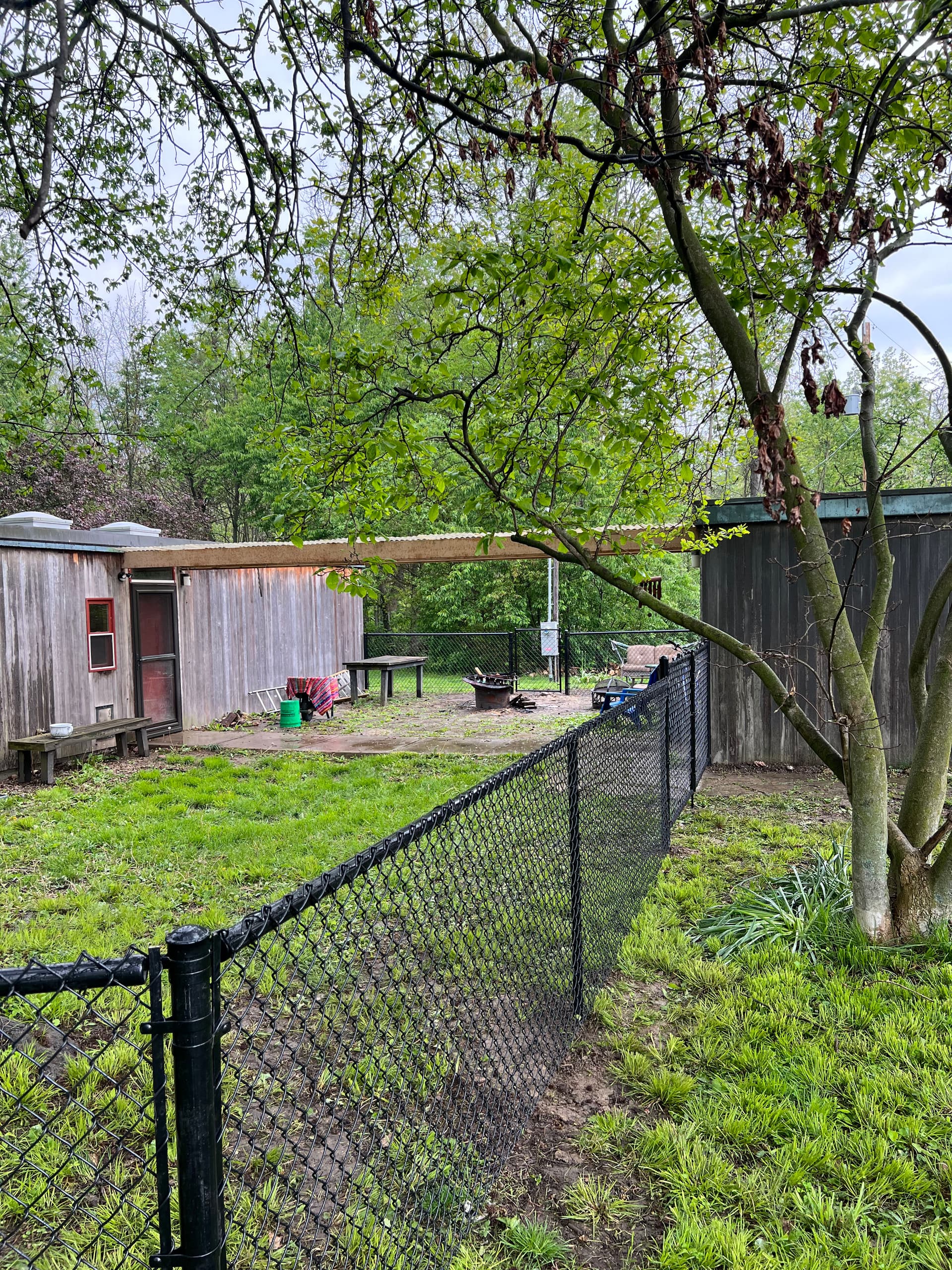 Gallery photos for Black Chain Link Fence Keeps Pups Safe in Bluffton: Image #1