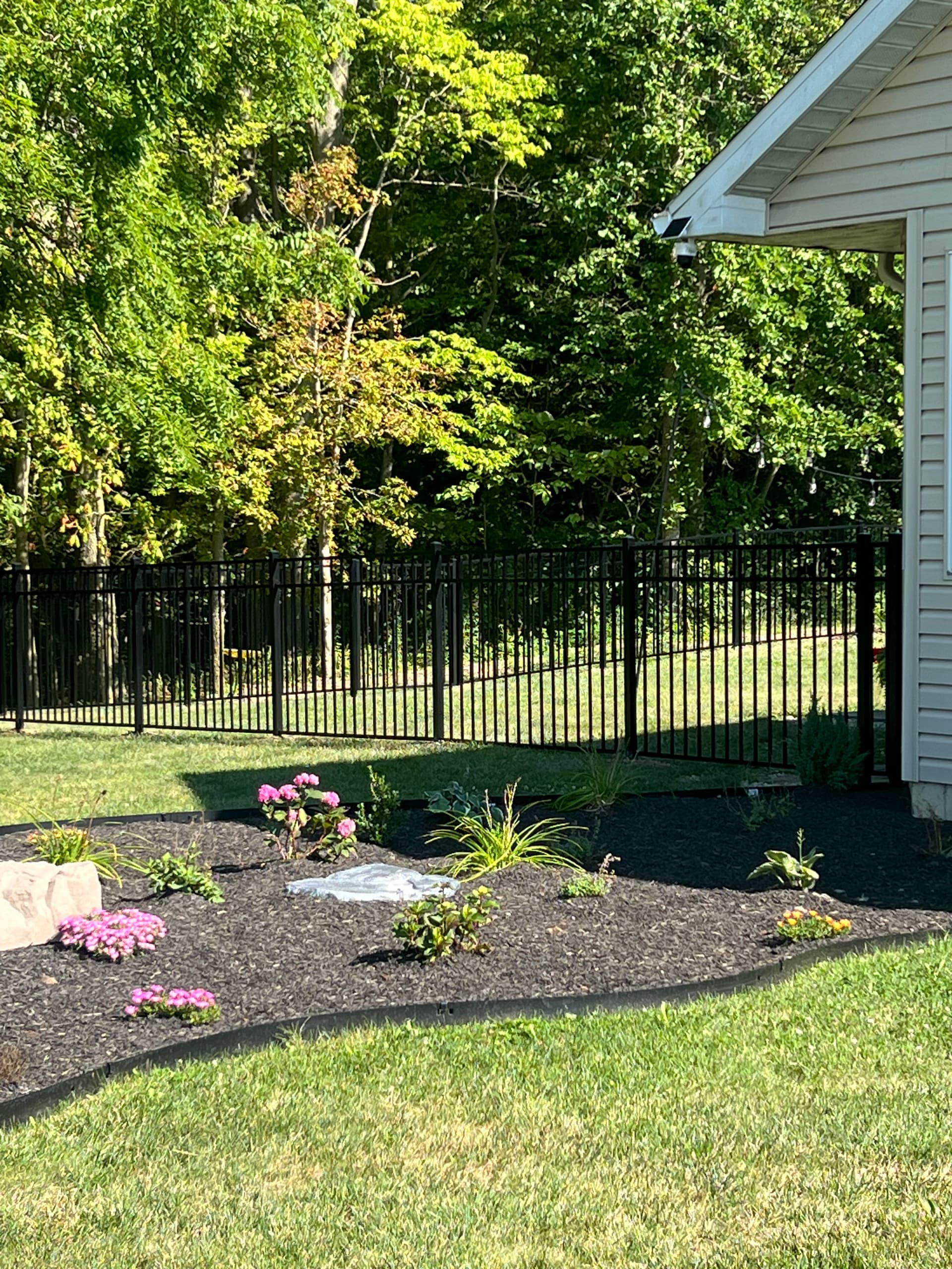 4-Foot Black Aluminum Fence That Keeps Dogs In and Views Open