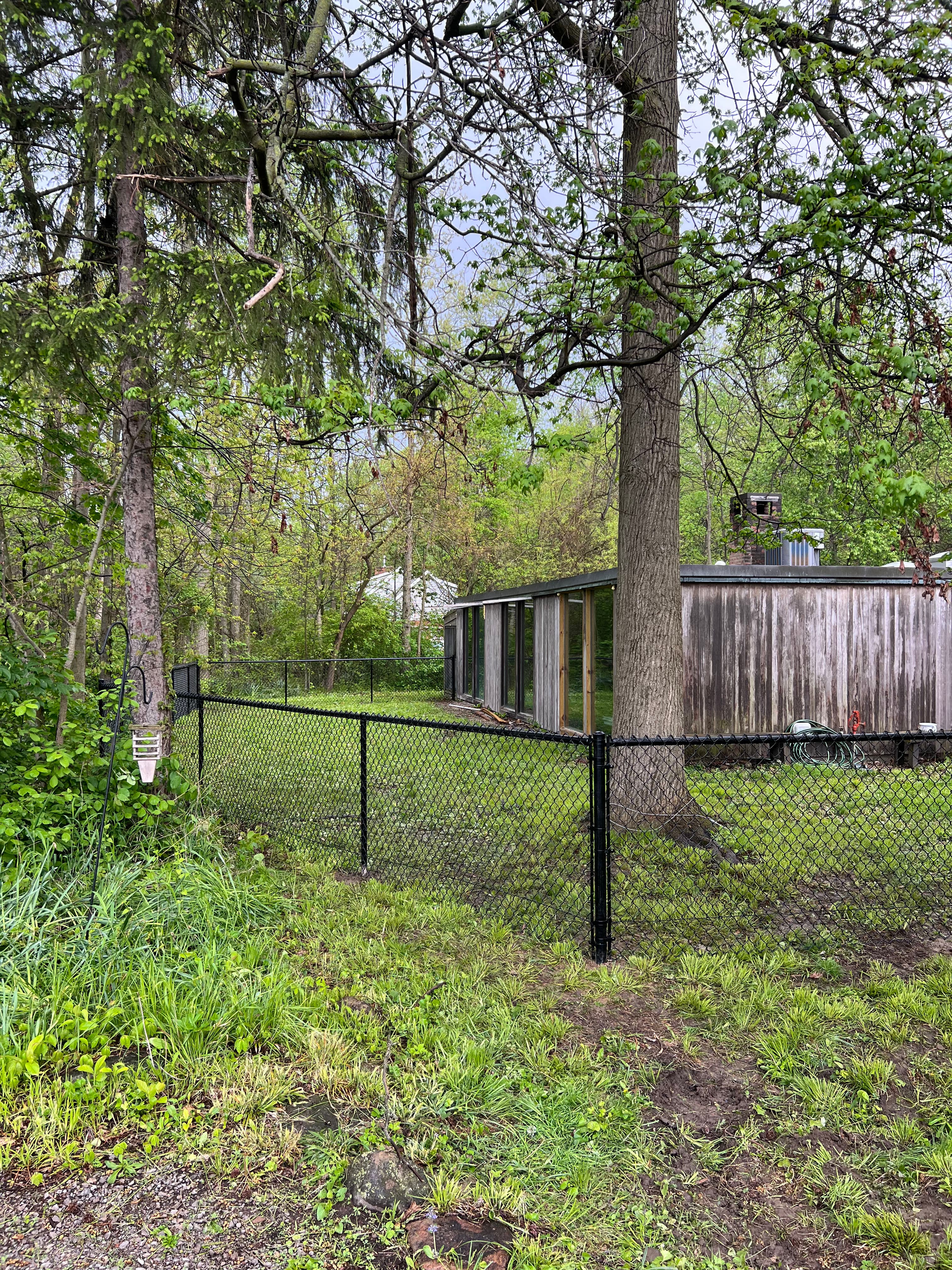 Project Black Chain Link Fence Keeps Pups Safe in Bluffton image