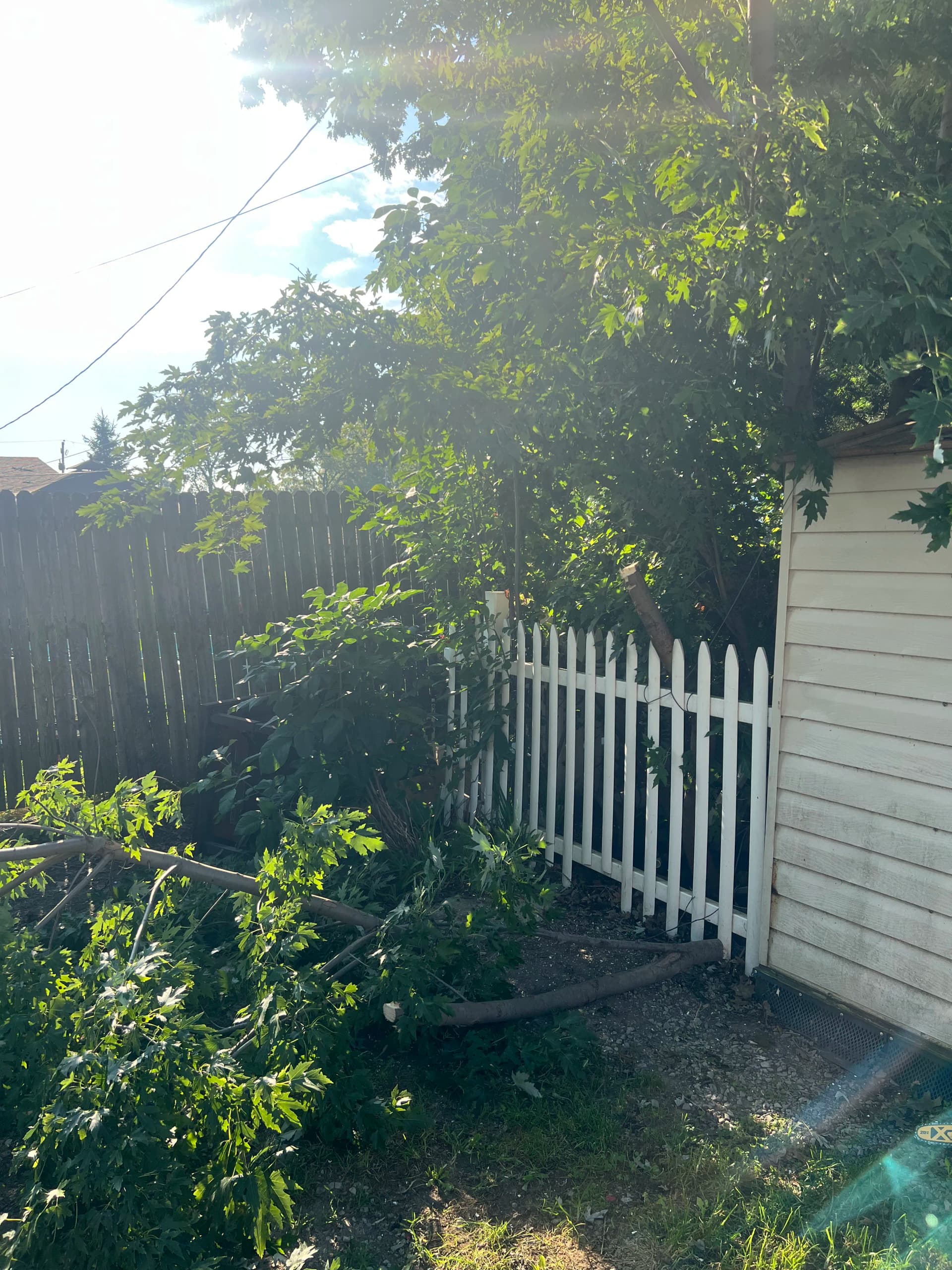 Wood Privacy Fence and Gate Installation in Lima Ohio